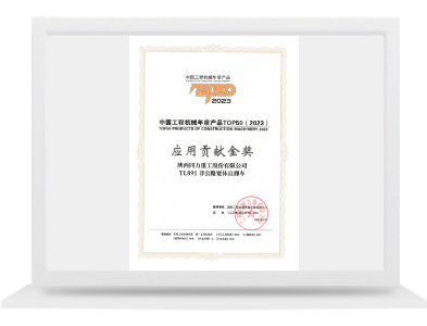 TL891應(yīng)用貢獻金獎