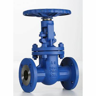 供應意大利Valvosider閥門、過濾器